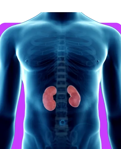 Urology Medical Billing